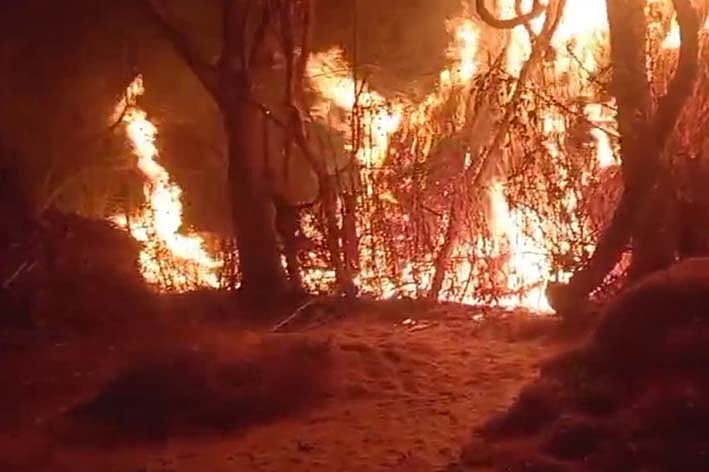 ಇಸ್ತಾಂಬುಲ್: ನೈಟ್ ಕ್ಲಬ್‌ವೊಂದರಲ್ಲಿ ಅಗ್ನಿ ಅವಘಡ; 29 ಮಂದಿ ಸಾವು