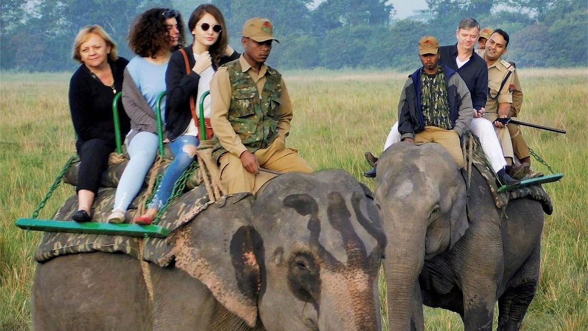 ಕಾಜಿರಂಗ ರಾಷ್ಟ್ರೀಯ ಉದ್ಯಾನವನಕ್ಕೆ ದಾಖಲೆಯ ಪ್ರವಾಸಿಗರ ಭೇಟಿ