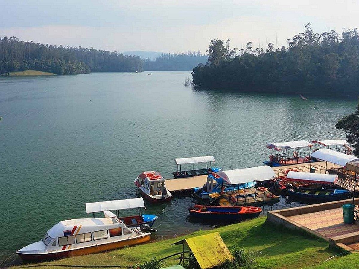 ಊಟಿಯ ಉಷ್ಣಾಂಶ 29 ಡಿಗ್ರಿ ಸೆಲ್ಸಿಯಸ್‌: ಪರಿಸರ ವಾದಿಗಳ ಆತಂಕ