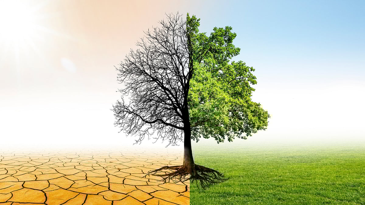 ಹವಾಮಾನ ಬದಲಾವಣೆ | ಈ ಶತಮಾನದ ಮಧ್ಯದಲ್ಲಿ ಜೀವ ವೈವಿಧ್ಯ ಕ್ಷೀಣ- ವರದಿ