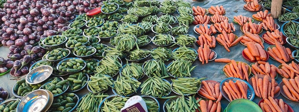 ಹೊಸಕೋಟೆ | ಬೇಸಿಗೆ ಬಿಸಿ: ದ್ವಿಶತಕ ಬಾರಿಸಿದ ಬೀನ್ಸ್‌