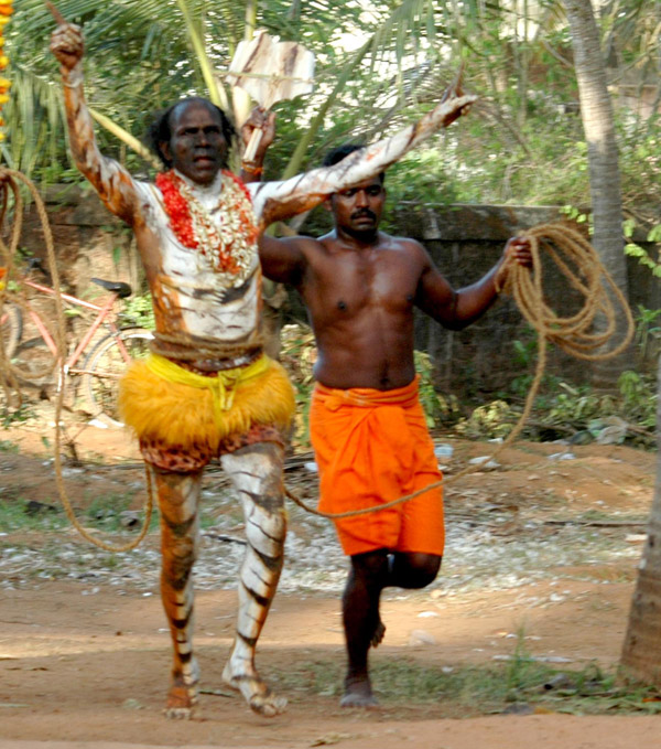 ಪಿಲಿಕೋಲ