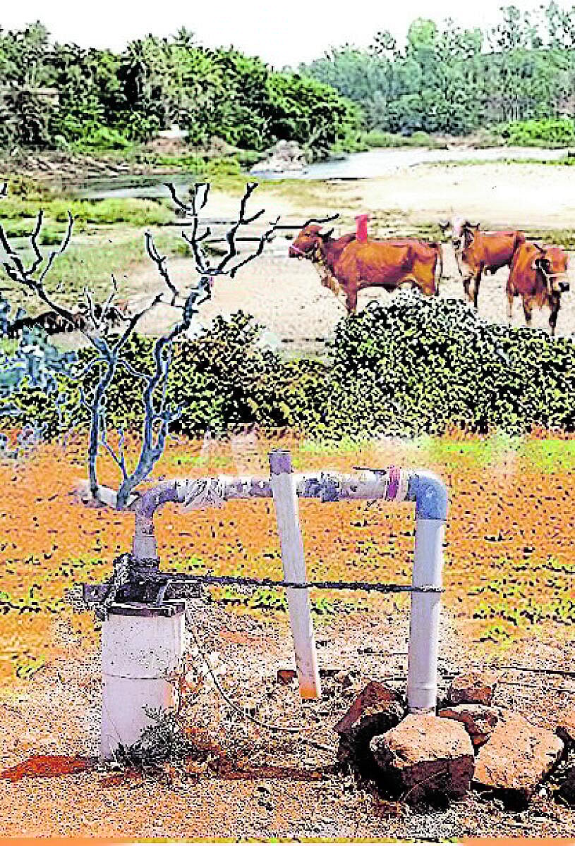 ವಿಶ್ಲೇಷಣೆ: ಜನತಂತ್ರದ ಜಾತ್ರೆಯಲ್ಲಿ ಕಾಣೆಯಾದ ಪ್ರಜೆ!