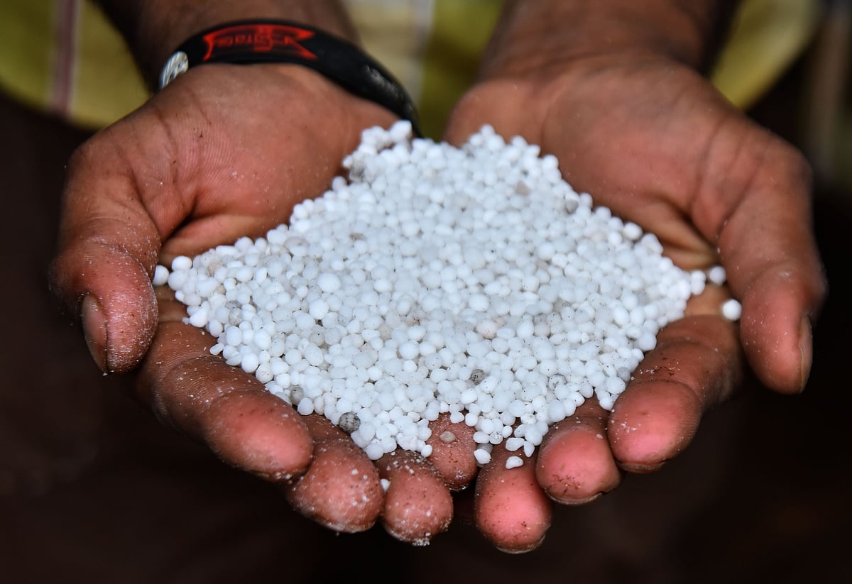 ದೇವನಹಳ್ಳಿ | ಯೂರಿಯಾ ಮಿತ ಬಳಕೆಗೆ ಕೃಷಿ ಇಲಾಖೆ ಸಲಹೆ