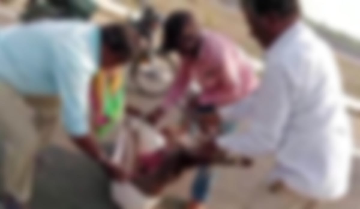 ಕೆಜಿಎಫ್‌: ಬೀದಿ ನಾಯಿ ಹಾವಳಿಗೆ ಕೃಷ್ಣಮೃಗ ಬಲಿ