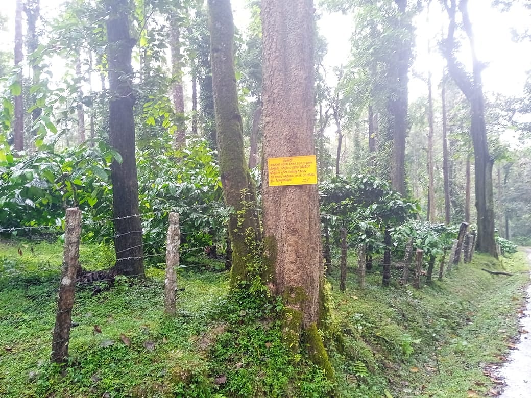 ಒಳನೋಟ | ಸರ್ಕಾರಿ ಜಾಗ ಭೂಗಳ್ಳರಿಗೆ