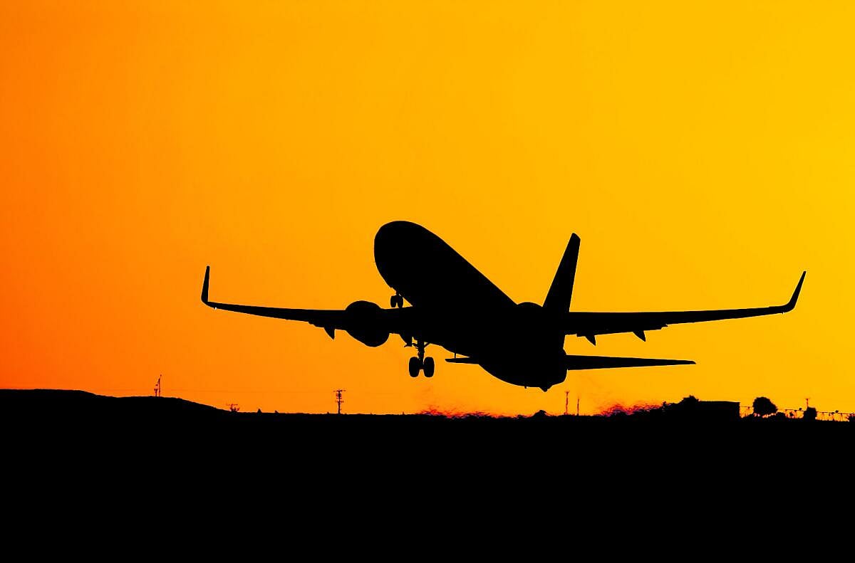 ವಿಮಾನವನ್ನು ಅದೃಶ್ಯ ಮಾಡಬಲ್ಲ ಮಿಡತೆಯ ಬೆವರು!