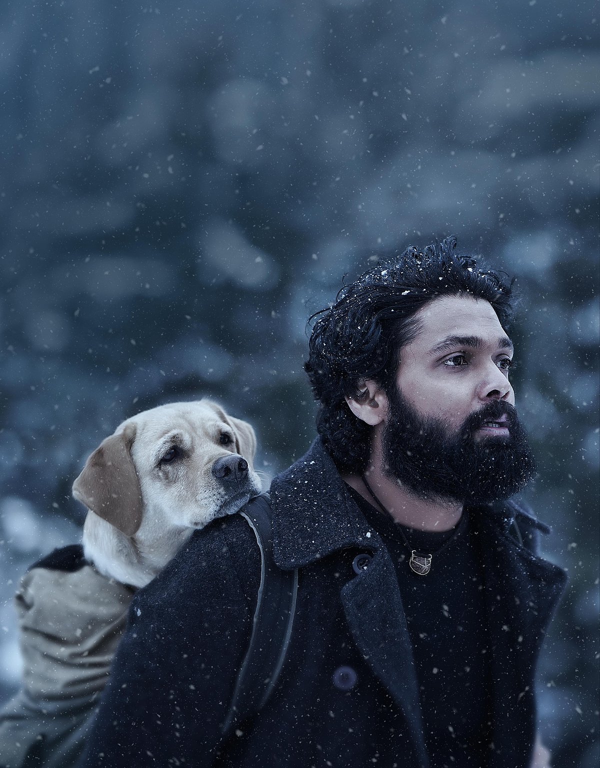 ಜಪಾನ್‌ನಲ್ಲಿ ಬಿಡುಗಡೆಯಾಗಲಿದೆ ‘777 ಚಾರ್ಲಿ’