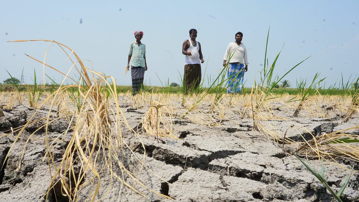 ಬಳ್ಳಾರಿ | ಜಿಲ್ಲೆಗೆ ಬರಬೇಕು ₹78.19 ಕೋಟಿ ಬರ ಪರಿಹಾರ