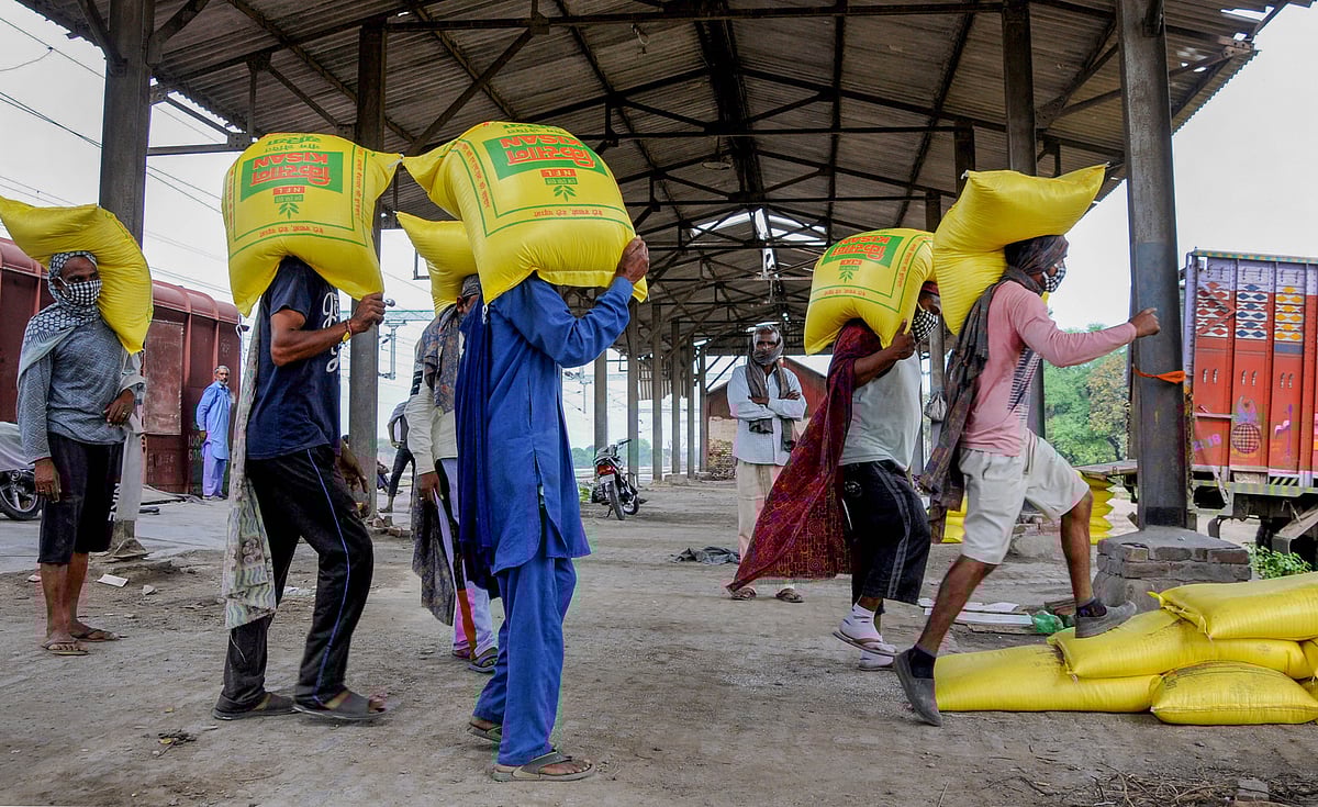 ಆಳ –ಅಗಲ: ರಸಗೊಬ್ಬರ ಸಹಾಯಧನ ಇಳಿಕೆ ಮತ್ತು ಯೂರಿಯಾ ಬೆಲೆಯ ಸುತ್ತ