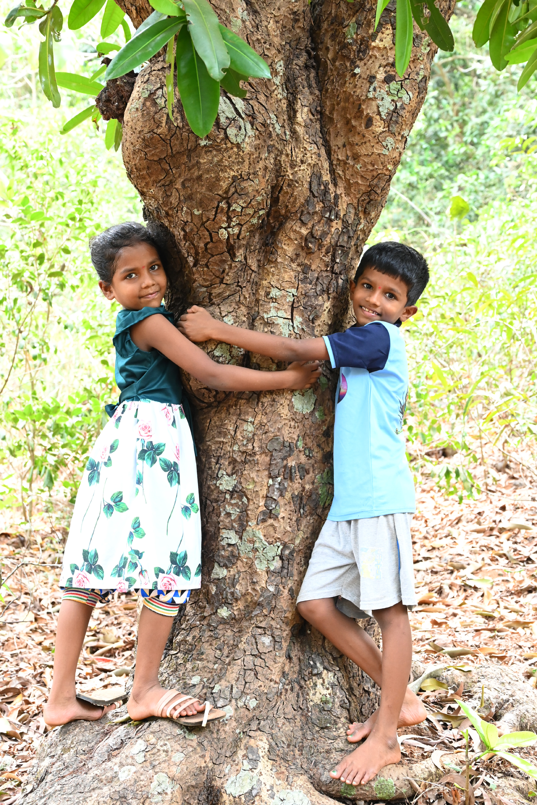 ಚಿತ್ರ: ಸುಜಾತಾ ಕುಮಟಾ