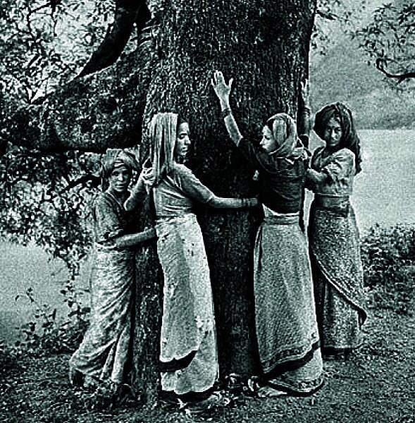 ವಿಶ್ಲೇಷಣೆ |ಹೋರಾಟದ ನೆಲದಲ್ಲಿ ಬದುಕಿಗಾಗಿ ಹೋರಾಟ!