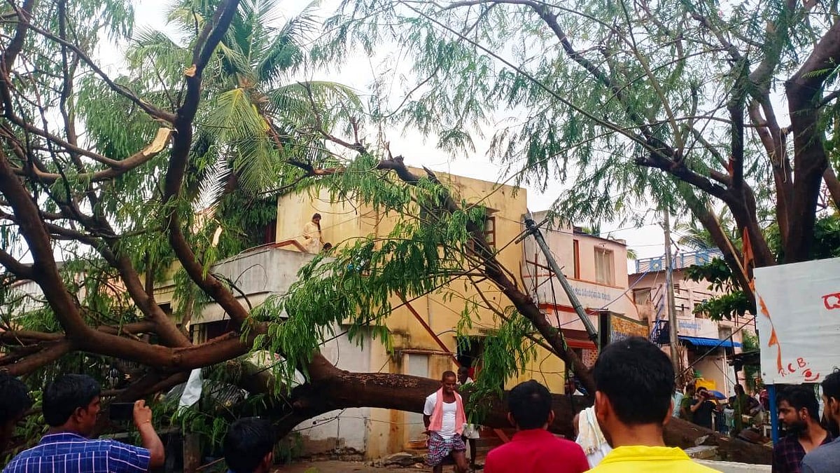 ಕೊಟ್ಟೂರು | ಮಳೆ–ಗಾಳಿ: ಧರೆಗುರುಳಿದ ಮರ