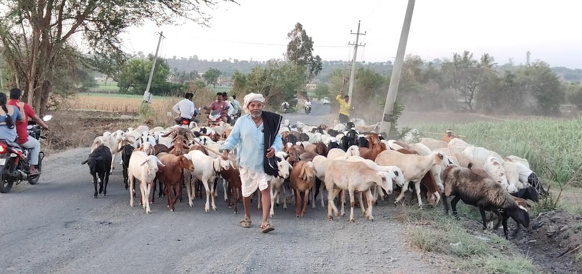 ಬಾಗಲಕೋಟೆ: ಕುರಿಗಾಹಿಗಳ ಸ್ವರಕ್ಷಣೆಗೆ ಬಂದೂಕು ತರಬೇತಿ 