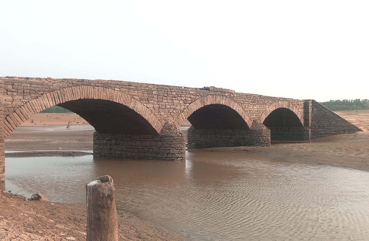 ನರಸಿಂಹರಾಜಪುರ: ಬರದ ಕನ್ನಡಿಯಲ್ಲಿ ಗತವೈಭವದ ಬಿಂಬ