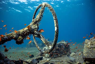 ಈ ವಸ್ತುಸಂಗ್ರಹಾಲಯ ಸದ್ಯ ಜಗತ್ತಿನ ಗಮನ ಸೆಳೆಯುತ್ತಿದೆ.