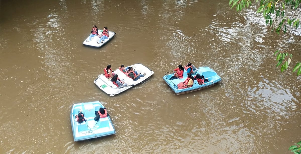 ಕುಶಾಲನಗರ: ಜೀವ ಪಡೆಯುತ್ತಿದೆ ದುಬಾರೆ