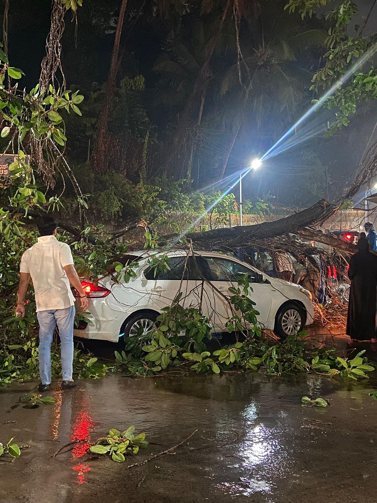 ಮಂಗಳೂರು | ಧಾರಾಕಾರ ಮಳೆ: ಮರಬಿದ್ದು 2 ಕಾರುಗಳು ಜಖಂ