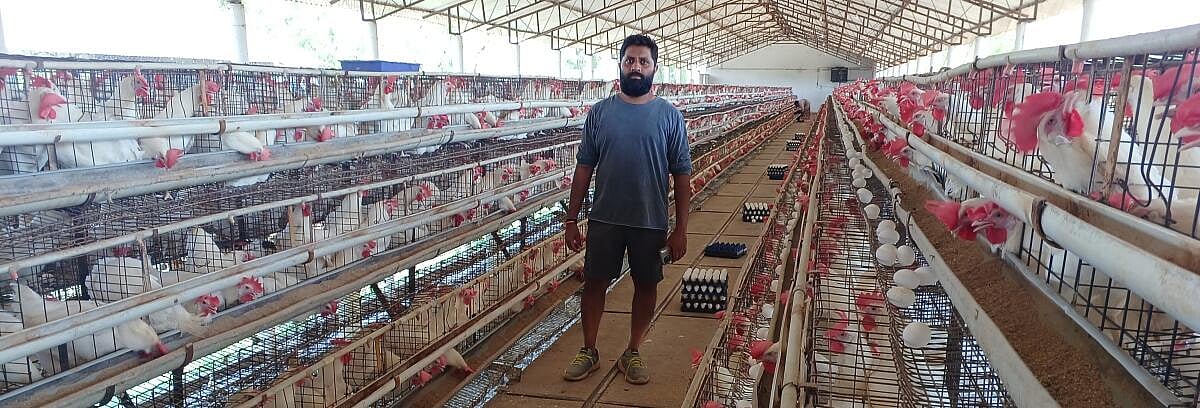 ಹಾವೇರಿ: ಬಿಸಿಲಿಗೆ ಕುಕ್ಕುಟೋದ್ಯಮ ತತ್ತರ