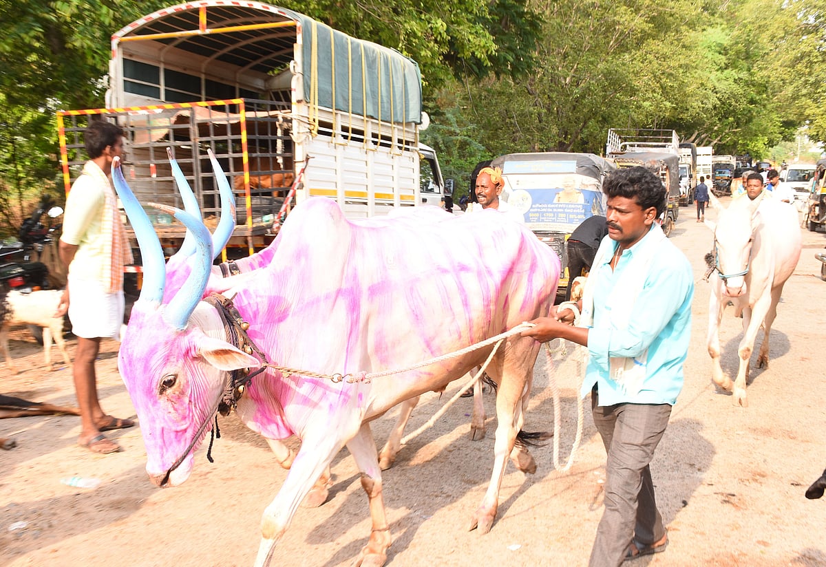ಯಾದಗಿರಿ: ಸಂತೆಯಲ್ಲಿ ಜಾನುವಾರುಗಳ ಮಾರಾಟ ಜೋರು