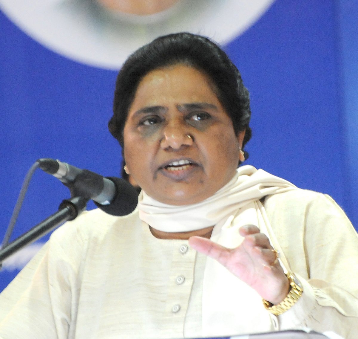 ಉತ್ತರ ಪ್ರದೇಶ| BJP ಸರ್ಕಾರದ ಅವಧಿಯಲ್ಲಿ ಬ್ರಾಹ್ಮಣರಿಗೆ ಕಿರುಕುಳ: ಮಾಯಾವತಿ ಆರೋಪ