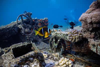 ಈ ವಸ್ತುಸಂಗ್ರಹಾಲಯದಲ್ಲಿ ಟ್ಯಾಂಕ್‌ಗಳು, ಆಂಬ್ಯುಲೆನ್ಸ್, ಮಿಲಿಟರಿ ಕ್ರೇನ್, ಟ್ರೂಪ್ ಕ್ಯಾರಿಯರ್, ವಿಮಾನ ವಿರೋಧಿ, ಬಂದೂಕುಗಳು ಮತ್ತು ಹೆಲಿಕಾಪ್ಟರ್‌ಗಳ ಅವಶೇಷಗಳಿವೆ.