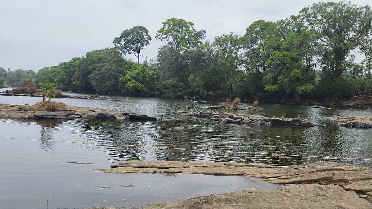 ಕಾವೇರಿ | ಕುಡಿಯುವ ನೀರಿನ ಬಾಧೆ ಇಲ್ಲ: ಕೇಂದ್ರ 