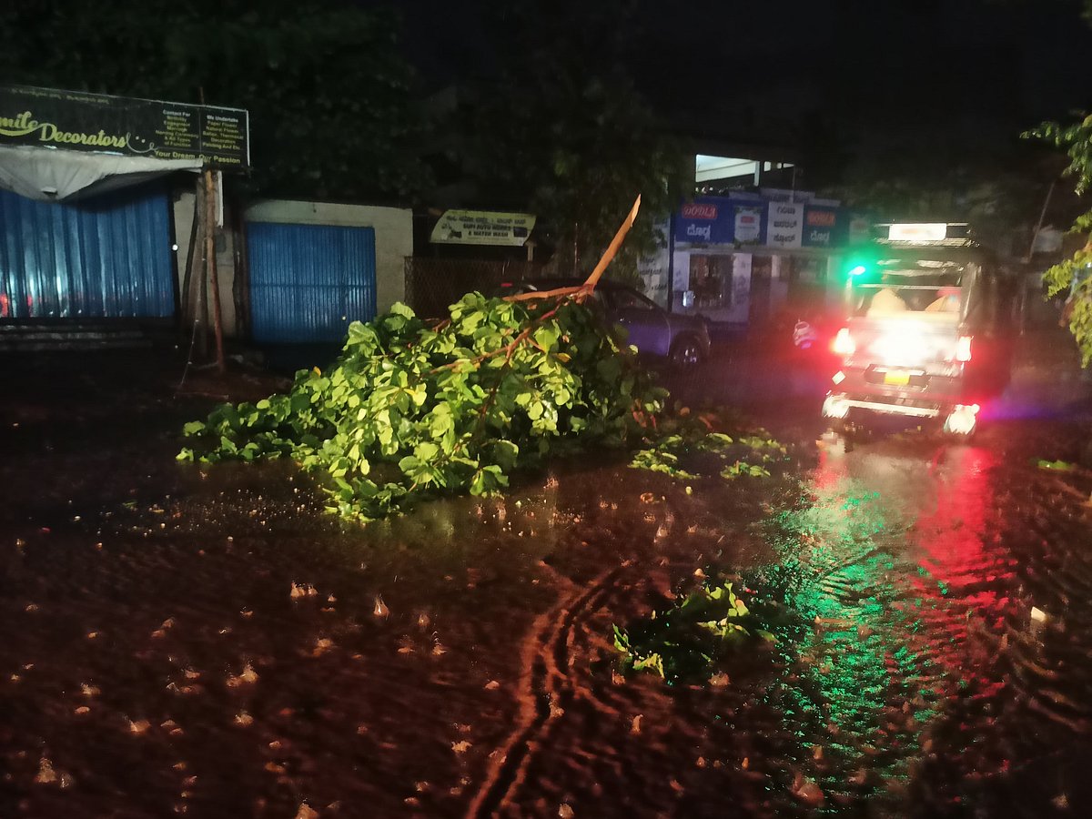 ವಿಜಯನಗರ | ಭಾರಿ ಗಾಳಿ ಜತೆಗೆ ಮಳೆ: ತಂಪಾದ ಇಳೆ