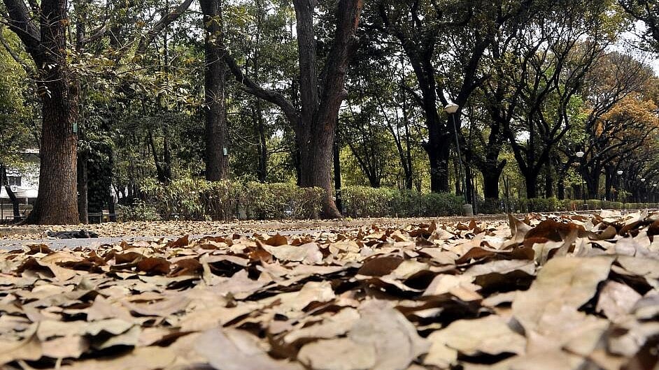 ಆಳ–ಅಗಲ | ಬಯಲು ಕುಗ್ಗಿ, ಕಟ್ಟಡ ಹಿಗ್ಗಿ ಬಿಸಿ ಏರುತ್ತಿದೆ ಬೆಂಗಳೂರು