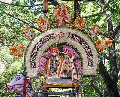 ಹಲಸೂರು ಪಲ್ಲಕ್ಕಿ ಉತ್ಸವ