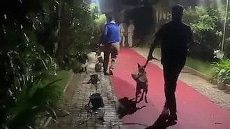 ಎಲೆಕ್ಟ್ರಾನಿಕ್ ಸಿಟಿ GR ಫಾರ್ಮ್‌ಹೌಸ್‌ನಲ್ಲಿ ರೇವ್‌ ಪಾರ್ಟಿ: ಐವರ ಬಂಧನ