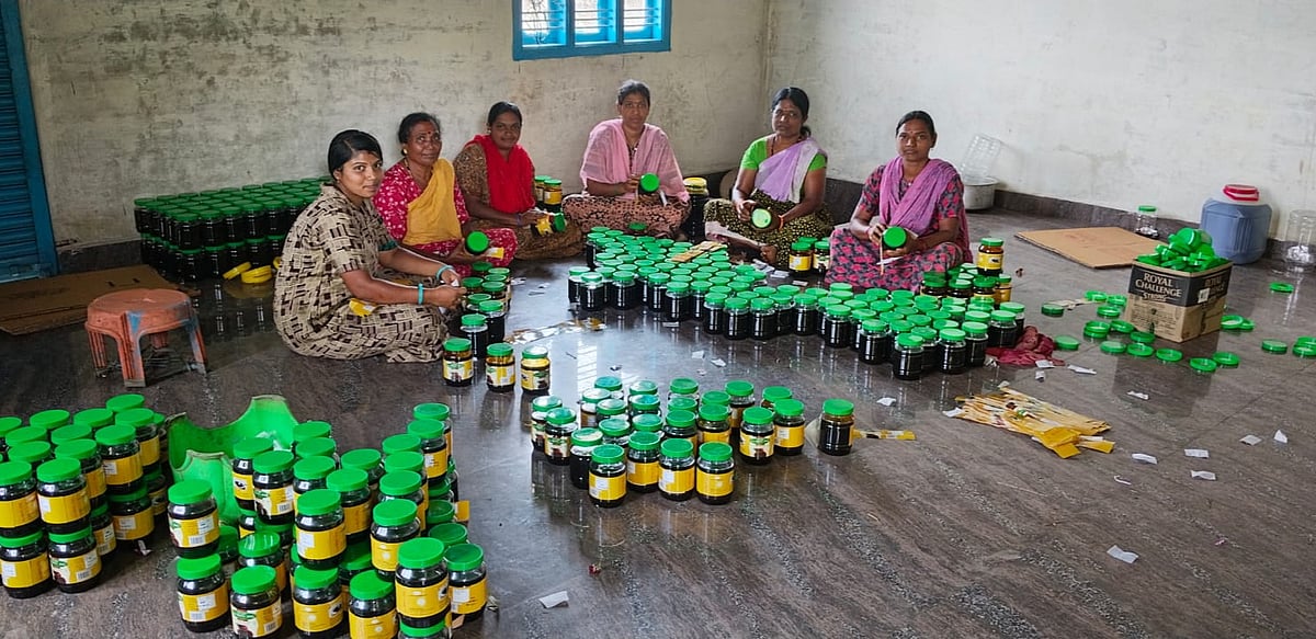 ಸೊರಬ: ಉಪ್ಪಿನಕಾಯಿ ಉದ್ಯಮದಲ್ಲಿ ಯಶ ಕಂಡ ಹಳ್ಳಿ ಹುಡುಗ