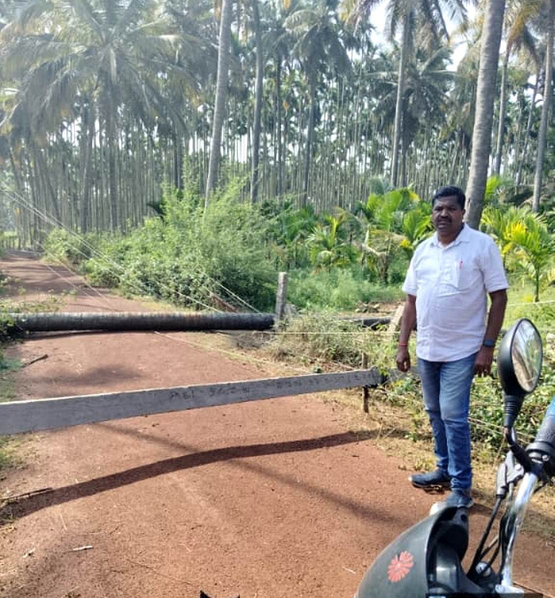 ತುರುವೇಕೆರೆ: ಸಂತಸ ತಂದ ಭರಣಿ ಮಳೆ 