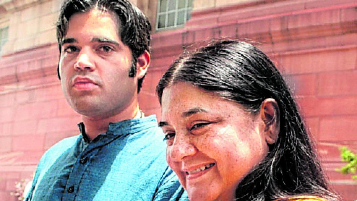 ವರುಣ್ ಬರಹಗಳೇ ಅವರಿಗೆ ಟಿಕೆಟ್‌ ತಪ್ಪುವಂತೆ ಮಾಡಿತೆ? ಮೇನಕಾ ಗಾಂಧಿ ಹೇಳೋದೇನು?