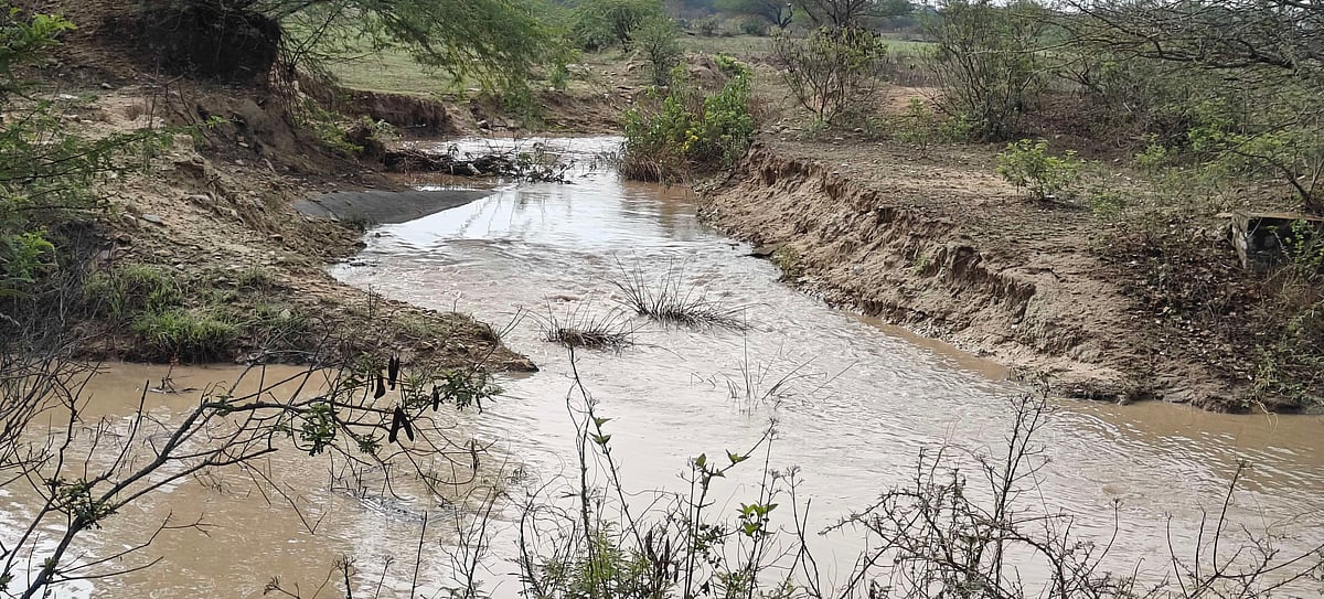 ಹಾರೋಹಳ್ಳಿ: ಕಾಮಗಾರಿ ಸ್ಥಗಿತ ನಾಲೆಯಲ್ಲಿ ಹರಿಯದ ನೀರು- ಗ್ರಾಮಸ್ಥರ ಆಕ್ರೋಶ 