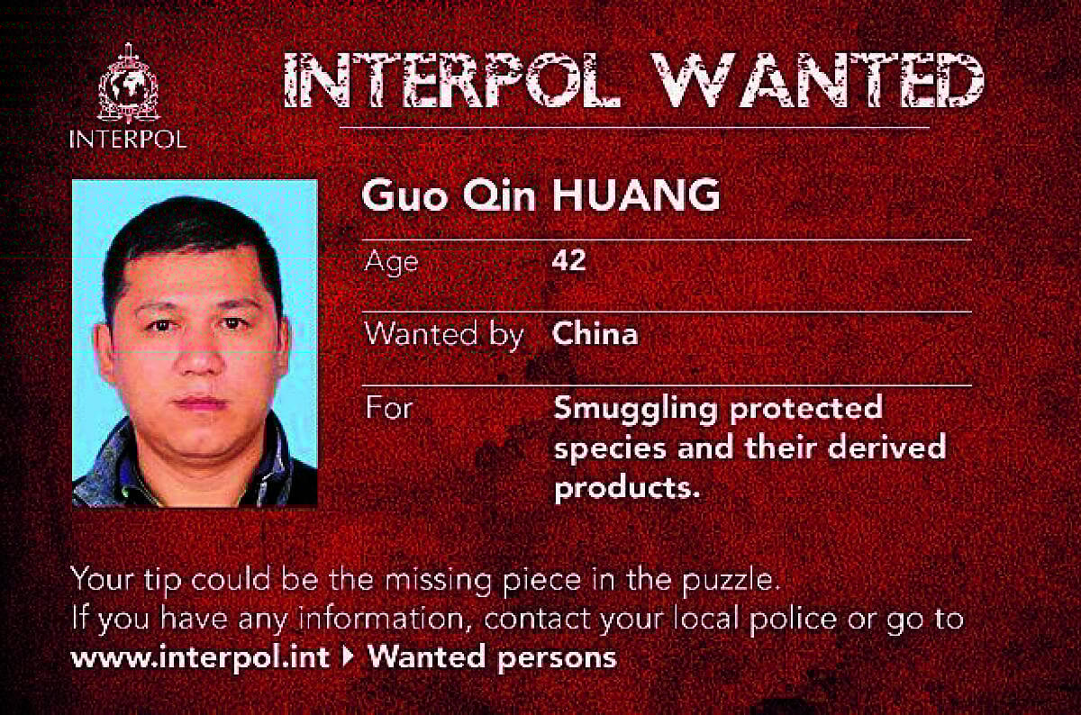 ಆಳ-ಅಗಲ | ಇಂಟರ್‌ಪೋಲ್‌ ನೋಟಿಸ್‌: ಏನು, ಎತ್ತ 