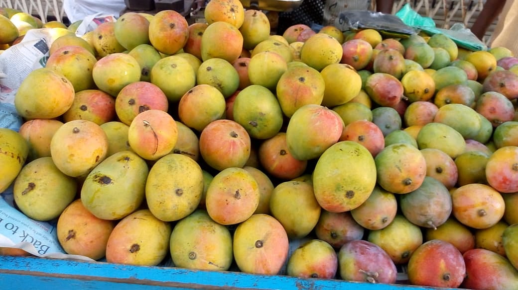 ಉಡುಪಿ: ಮಾವು ಖರೀದಿ ಜೋರು, ‘ಬಾದಾಮಿ’ಗೆ ಬೇಡಿಕೆ