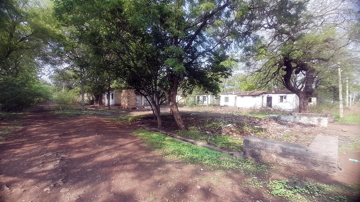 ಆಲಮೇಲ | ಯುಕೆಪಿ ವಸಾಹತು: ಅಕ್ರಮ ಚಟುವಟಿಕೆಗಳ ತಾಣ