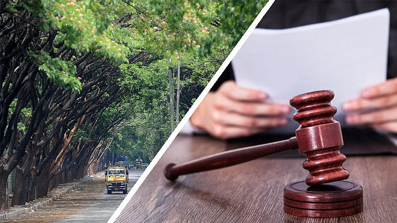 ವಾಣಿಜ್ಯ ಚಟುವಟಿಕೆಗೆ ಅಡ್ಡಿ ಎಂದು ರಸ್ತೆ ಬದಿಯ ಮರ ಕಡಿಯುವಂತಿಲ್ಲ: ಕೇರಳ ಕೋರ್ಟ್