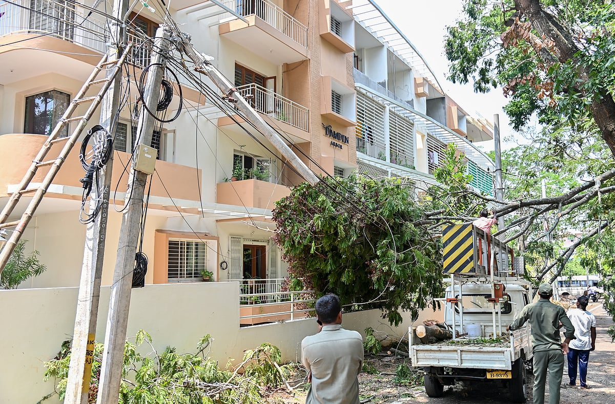 ಮೈಸೂರು: ಮಳೆಯಿಂದಾಗಿ ಸೆಸ್ಕ್‌ಗೆ ₹2.05 ಕೋಟಿ ನಷ್ಟ