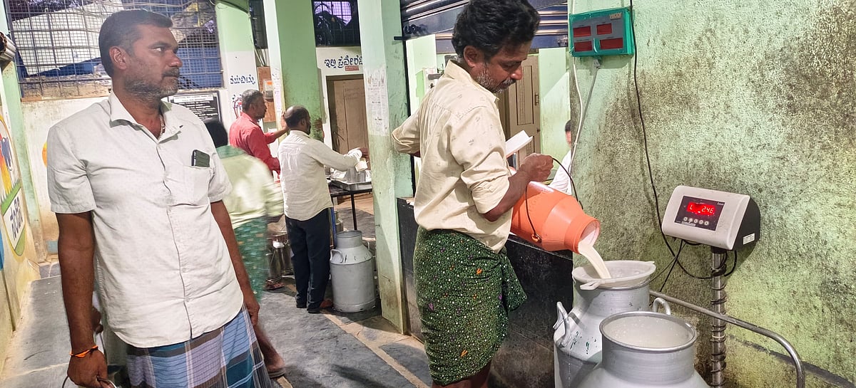 ಮಧುಗಿರಿ | ಆರ್ಥಿಕ ಚೇತರಿಕೆ ತುಂಬಿದ ಹೈನುಗಾರಿಕೆ: ಹಸು ಸಾಕಾಣಿಕೆಗೆ ಜನರ ಒಲವು