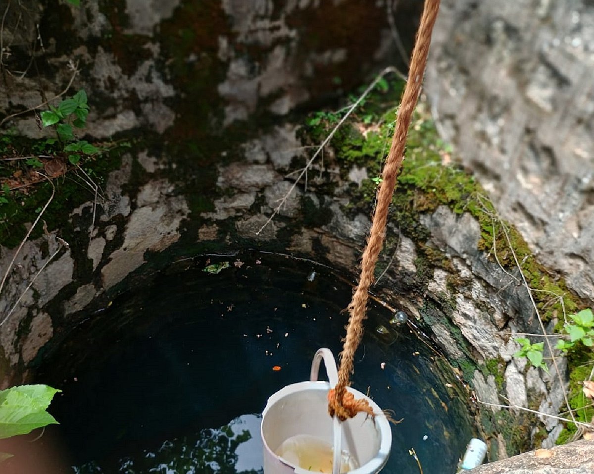 ಶಿವಮೊಗ್ಗ: ಸೊಳ್ಳೆಗಳ ಉತ್ಪತ್ತಿ ತಡೆಗೆ ಗಪ್ಪಿ ಮೀನುಗಳ ಅಸ್ತ್ರ