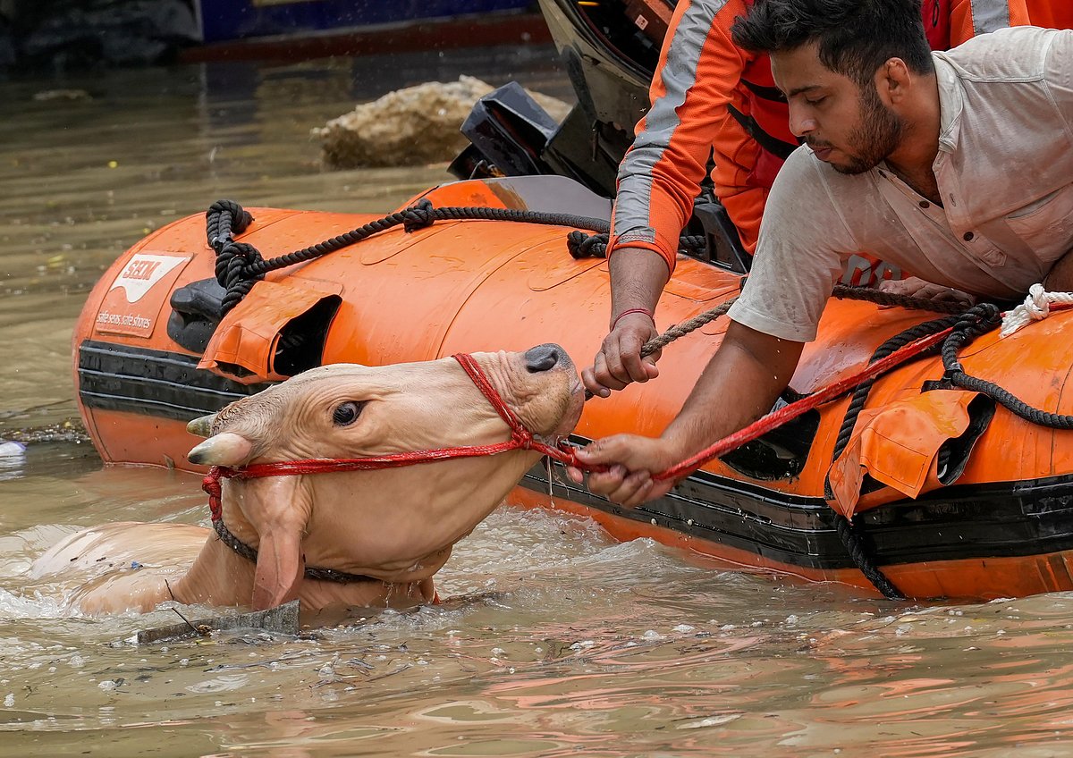 ಬಿಸಿಲ ಝಳದಿಂದ ತತ್ತರಿಸಿದ್ದ ದೆಹಲಿಯಲ್ಲಿ ಭಾರಿ ಮಳೆ; ಮತ್ತೆ ಉಕ್ಕುವಳೇ ಯಮುನೆ?