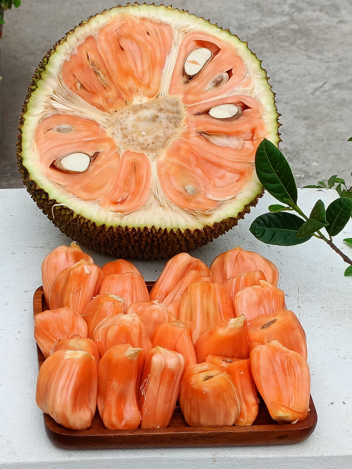 ಹಲಸಿನ ಹಬ್ಬ 15ರಿಂದ