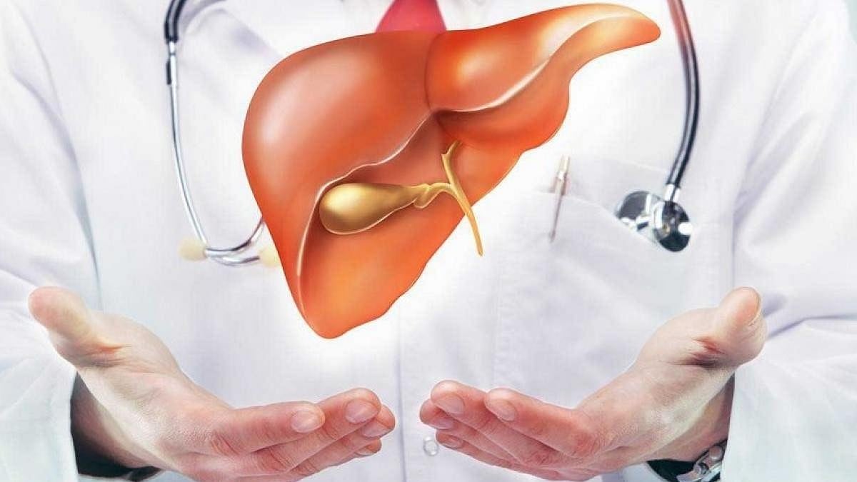 ತಂದೆಯ ಉಳಿವಿಗಾಗಿ ಯಕೃತ್‌ನ ಭಾಗ ನೀಡಲು ಮುಂದಾದ ಬಾಲಕಿಗೆ ಅನುಮತಿ ನೀಡಿದ ಹೈಕೋರ್ಟ್