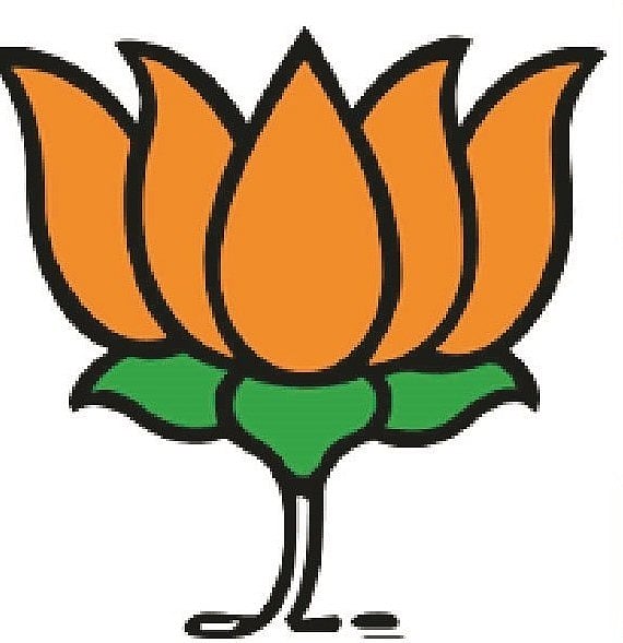 ಆಳ–ಅಗಲ | ಲೋಕ ರಾಜಕಾರಣ–2: ಬಿಜೆಪಿ ‘ಸೋತಿದ್ದು’ ಹೇಗೆ?