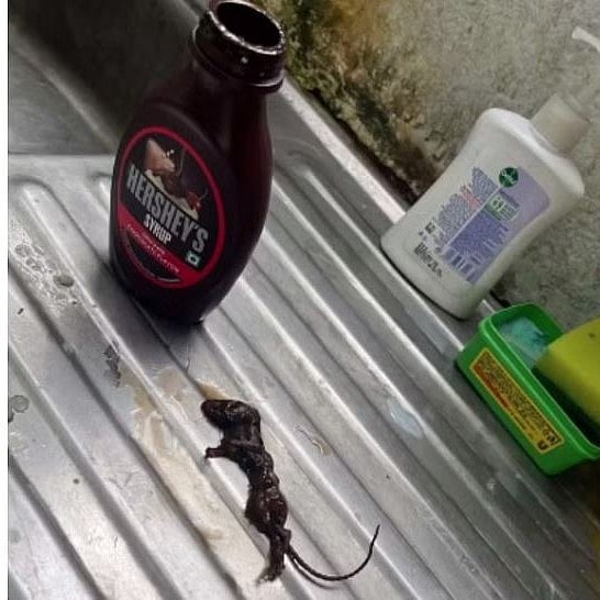 ಆನ್‌ಲೈನ್‌ನಲ್ಲಿ ಖರೀದಿಸಿದ Hershey's ಚಾಕೊಲೇಟ್‌ ಸಿರಪ್‌ನಲ್ಲಿ ಸತ್ತ ಇಲಿ ಪತ್ತೆ