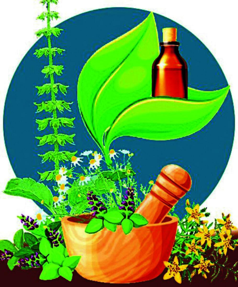 ವಿಶ್ಲೇಷಣೆ: ಗಿಡಮೂಲಿಕಾ ಕ್ಷೇತ್ರಕ್ಕೆ ಬೇಕು ಮದ್ದು!