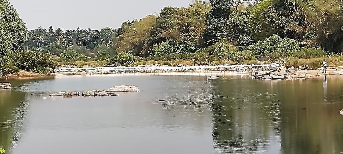 ಕಾವೇರಿ: ತಮಿಳುನಾಡು ಮನವಿ ಪುರಸ್ಕರಿಸದ ನೀರು ನಿಯಂತ್ರಣ ಸಮಿತಿ 