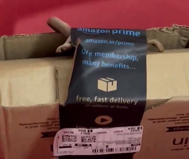 ಬೆಂಗಳೂರಿನ ಗ್ರಾಹಕರ ಮನೆಗೆ ಜೀವಂತ ಹಾವನ್ನೂ ಕಳುಹಿಸಿದ ಅಮೆಜಾನ್!
